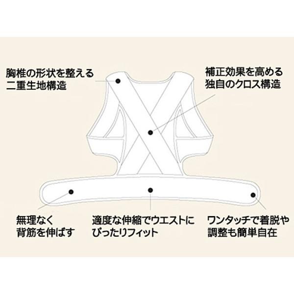 R@Lwxg j  jp ×p pxg Lw Lwxg Lw  xg p