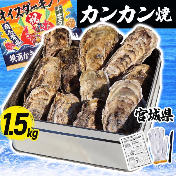 牡蠣小屋の牡蠣！届いてそのままコンロにかけて食べれる、お手軽カンカン焼き。絶品の蒸し牡蠣をお楽しみ下さい。バーベキューにもおすすめ! 宮城県の牡蠣は三陸の地形上、牡蠣のエサが豊富なので、全国的に見ても濃厚な味わいと言われています。旨味の詰ま...