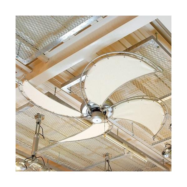  ^̕zHgV[Ot@ _g canvas-blades-fan FAN t@ T[L[^[  GR DT18-CF08OW PX