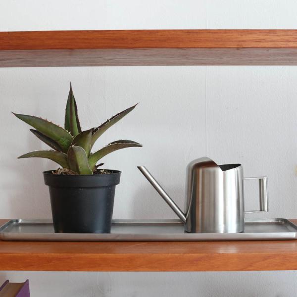 G19-0083SV WE 傤 W[   uL | K[fjO AeB[N  _g DULTON