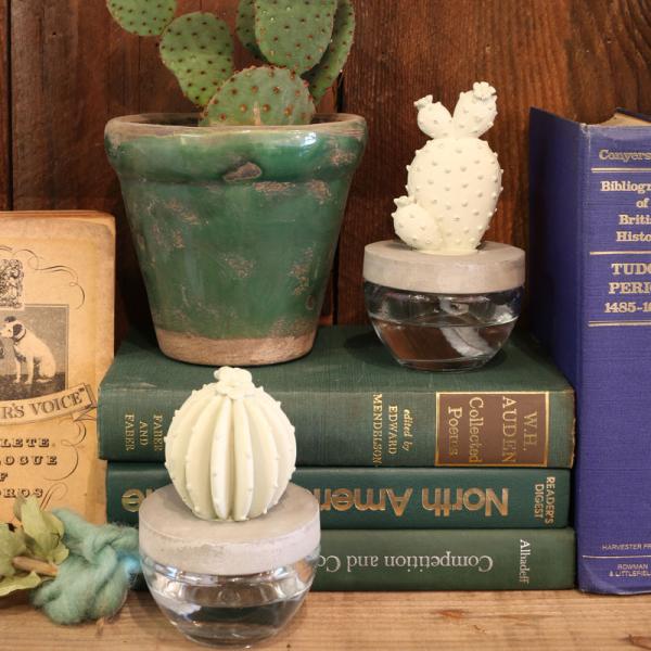 JN^X tOX fBtU[ CACTUS FRAGRANCE DIFFUSER CObVK[f bNX ][g A} IC _g DULTON G675-824