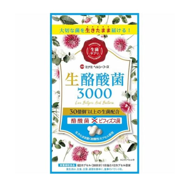 生酪酸菌3000 60カプセル 品番：H343 健康食品 サプリメント カプセルタイプ 酪酸菌 ビフィズス菌 腸活 腸内フローラ