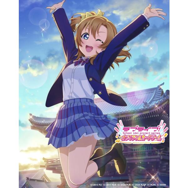 vivis-store_4573616011198