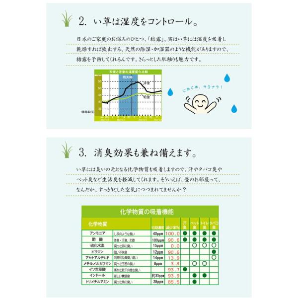 い草 花ござ ラグマット/絨毯 〔ブルー 江戸間4.5畳 約261×261cm〕 抗菌 防臭 消臭 調湿 日本製 〔リビング フローリング〕爆買