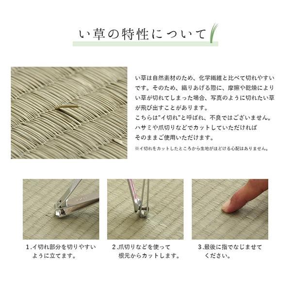 夏用 い草 ラグマット/絨毯 〔シンプル ベージュ 約191×250cm〕 長方形 日本製 抗菌 防臭 湿度調節 耐久性 〔リビング〕爆買