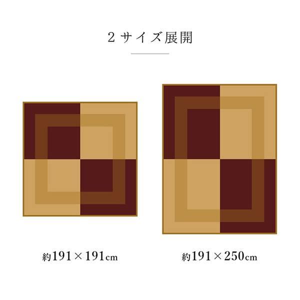 夏用 い草 ラグマット/絨毯 〔シンプル ネイビー 約191×250cm〕 長方形 日本製 抗菌 防臭 湿度調節 耐久性 〔リビング〕爆買