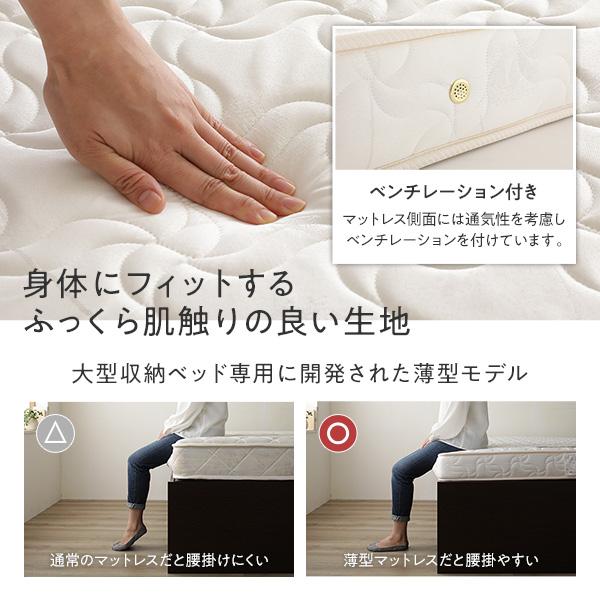〔組立設置付き〕 収納 ベッド ダブル フレームのみ ブラウン ABB 引き出し 棚付き 宮付き 日本製 業務用 まとめ買い ポイント消化 日用品