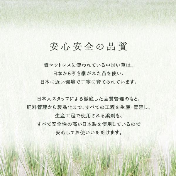 畳マット キング 約180×200×1.1cm い草 100％ 双目織 緑 折りたたみ 軽量 コンパクト 4つ折り 畳マットレス リビング爆買