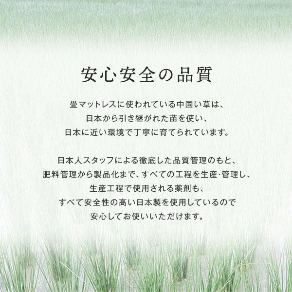 畳マット キング 約180×200×1.1cm い草 100％ 目積織 生成り 折りたたみ 軽量 コンパクト 4つ折り 畳マットレス リビング爆買