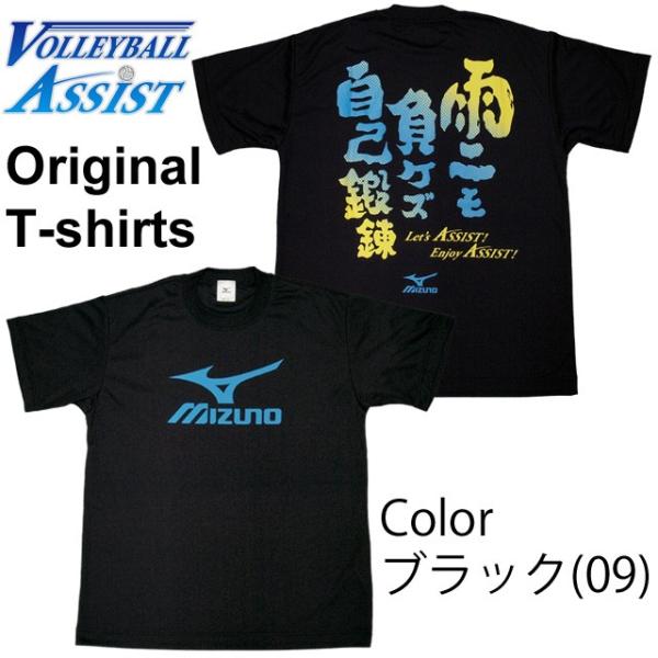 volleyballassist_asm1501-09