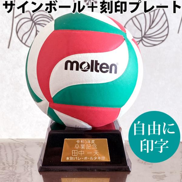 ボール：直径15cm置き台：幅11.5×奥行11.5×高さ5cm化粧箱つき貼り・人工皮革刻印プレートサイズ：50×30mmミカサ、モルテンのサインボールに入れる個人名の刻印プレート（その他の盾などにもつけることか可能）サインボールとご一緒に...