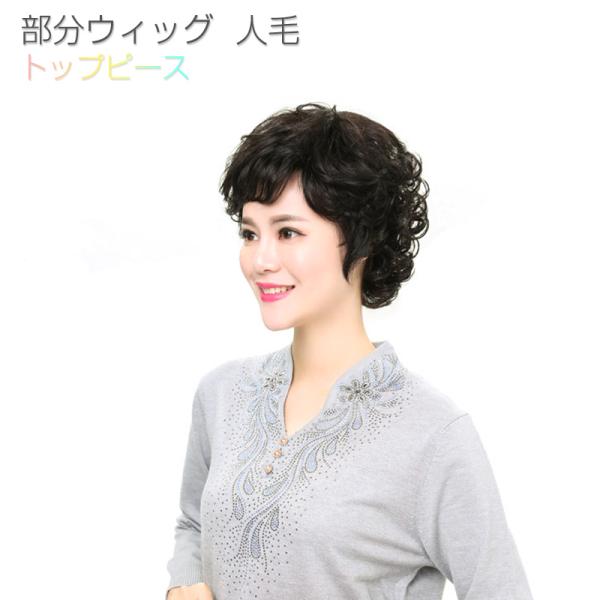 部分 ウィッグ ボブの人気商品 通販 価格比較 価格 Com