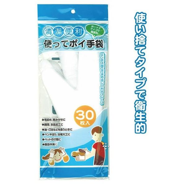 gă|C܁@30@ĝĎ܁@rj[܁@ZCv  lp l fB[X Y  j@G{XH