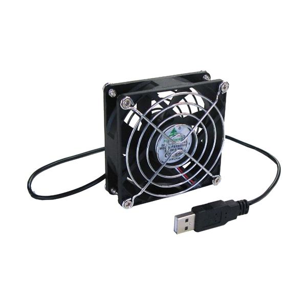 ゴンファン様 P0794-l.jpg