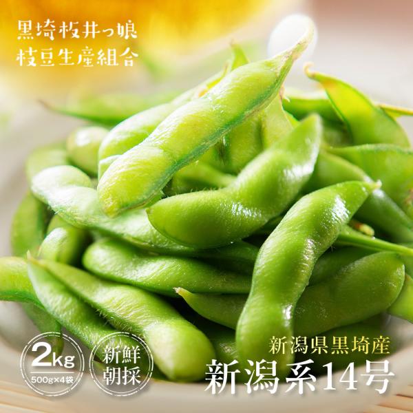 【産地直送 数量限定 予約商品 7月中旬〜7月下旬発送】枝豆 新潟 黒埼 新潟系14号 2kg 茶豆 おつまみ おやつ 甘い 晩酌 朝採り 特産品 黒