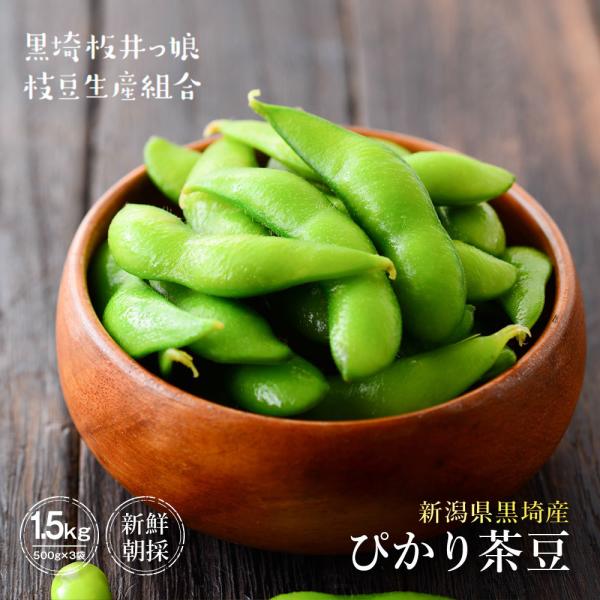 産地直送 数量限定 予約商品 8月中旬〜8月下旬発送】枝豆 新潟
