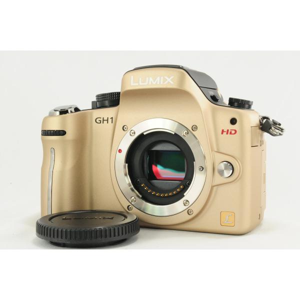 Panasonic デジタル一眼カメラ LUMIX GH１ ボディ コンフォートゴールド DMC-GH1-N