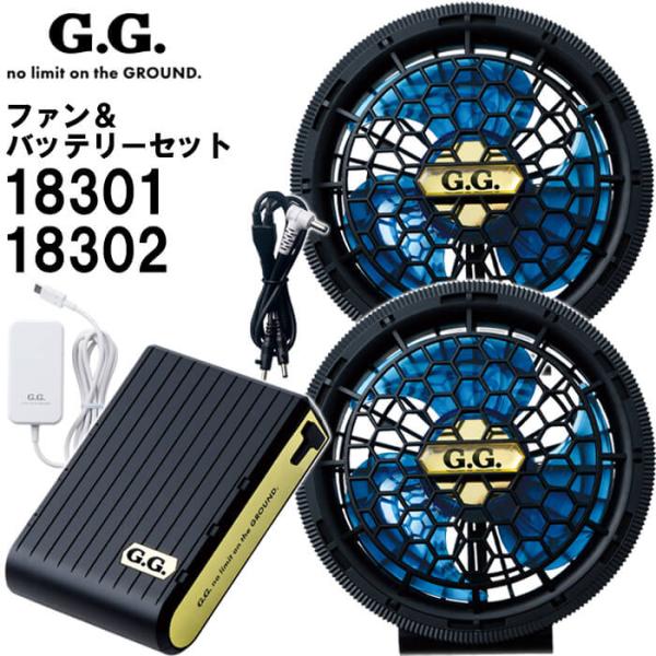 値引き不可品 バラ売り不可 G.G. SOWA バッテリー2台 値引き不可品 バラ売り不可 G.G. SOWA バッテリー2台 Amazon.co