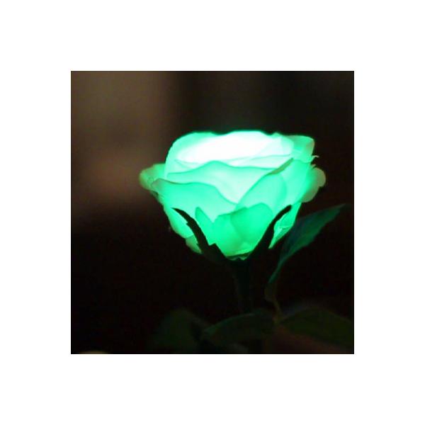 GRACE ROSE （グレイスローズ）は、オアシスやフラワーポットの水分に反応して光るバラの花です。まるで水を吸い上げたローズが輝かせるように、ふわりとやさしくひかります。水を入れたグラスに一輪ずつ入れながらテーブルラウンドしていただいた...