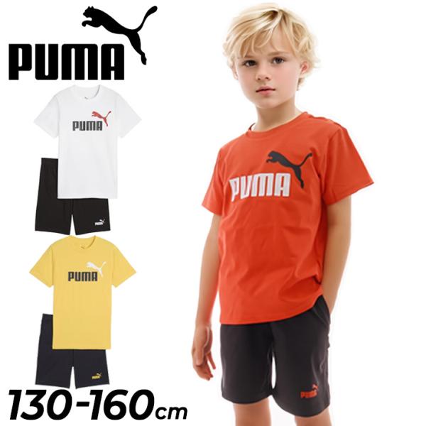 PUMA Tシャツとショートパンツセット　L PUMA プーマ 半袖Tシャツ ハーフパンツ メンズ 上下 ESS