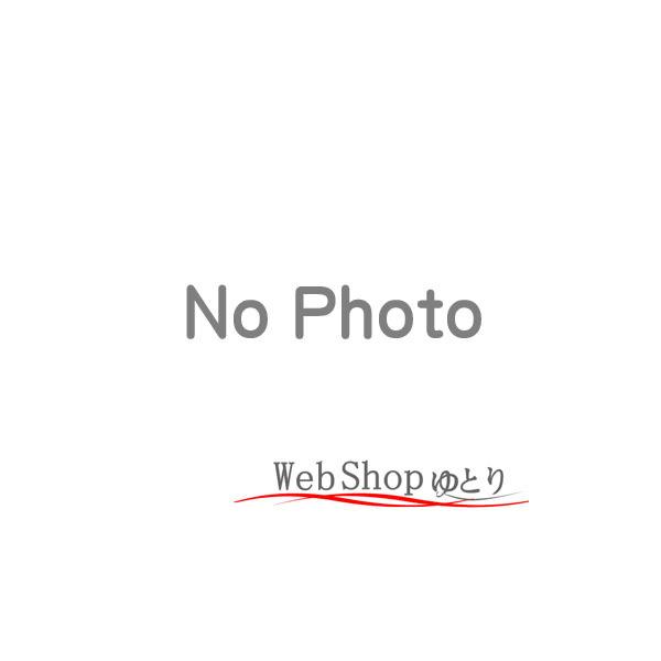 新品 純正品　正規品対応機種：ER509P-A、ER509P-G、ER504、ER504P-A、ER508、ER508P-A、ER509、メーカー取り寄せ品の為キャンセル不可