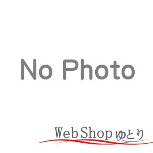 パナソニック モニター付ハードディスクレコーダー用バッテリー パナソニック モニター付ハードディスクレコーダー用バッテリー