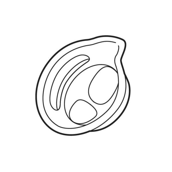 対応型番：EW-KA65-W※メーカー取り寄せ品につきキャンセル、返品不可