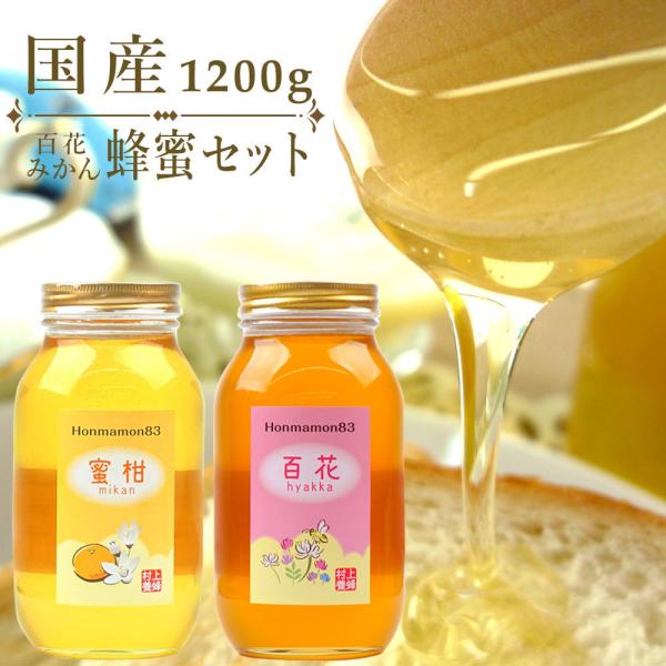 wa-full_hati-set-1200