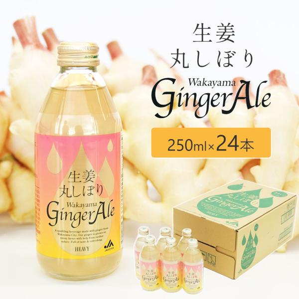 生姜丸しぼり Wakayama Ginger Ale 250ml×24本 セット 和歌山 新生姜
