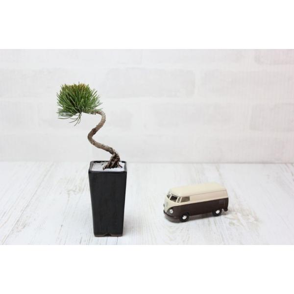 wabi-sabi_100308aa