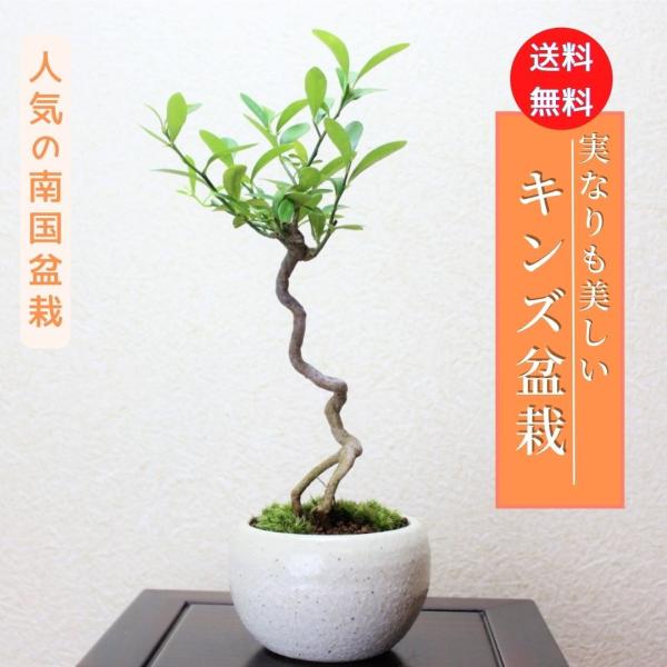 wabi-sabi_400208aa