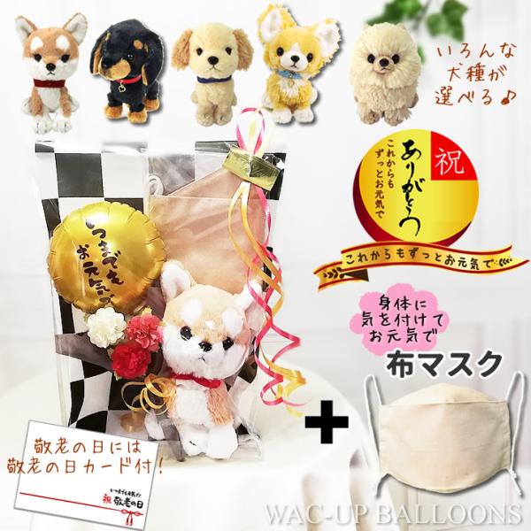 hV̓ v[g 蕨 t[d ` gCv[h _bNX |jA Č CŃo[ԑtʂPUPSz}XNZbg