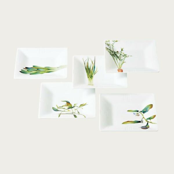 wadatoki_noritake-1620-15t-f10194