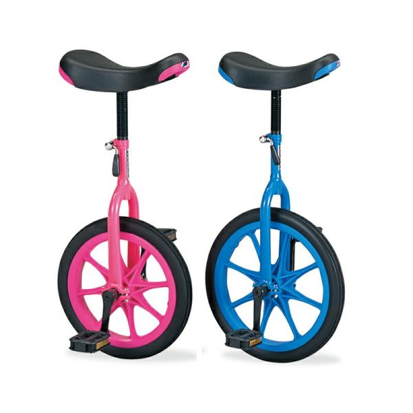 エバニュー EKD136-120 一輪車（ノーパンク）16 【ピンク色】  4934048386061 EVERNEW 学校体育器具メーカーより直送致します。 ※メーカーに在庫がある商品に関しましては当日〜翌日出荷(土日祝はお休み) ※受注...