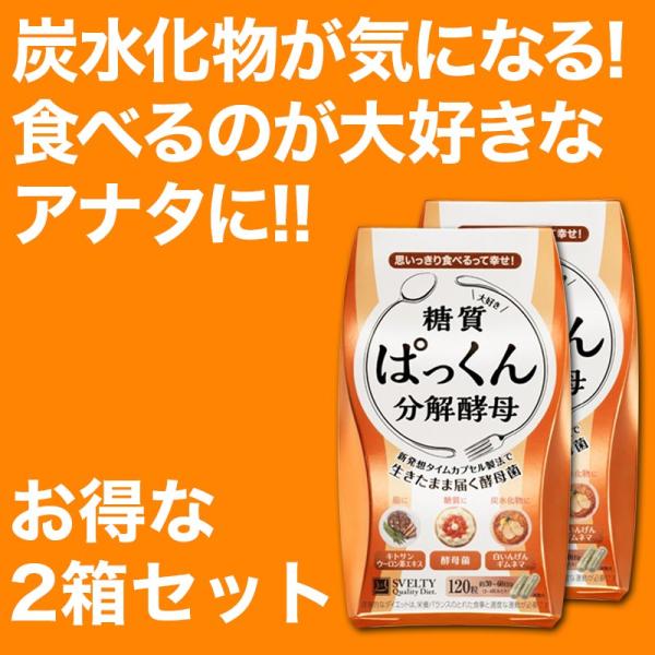 ς񕪉y 2Zbg(120×2) svelty XxeB _CGbg  Tvg yf LgT pbNy lR|X 