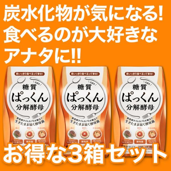 ς񕪉y 3Zbg(120×3) svelty XxeB _CGbg  Tvg yf LgT pbNy lR|X 