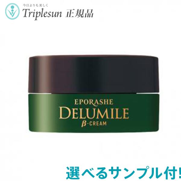 G|[VF f~[N[ 30g 22킩IׂTvt eN[ GCWOPA  ] K̔X gvT EPORASHE