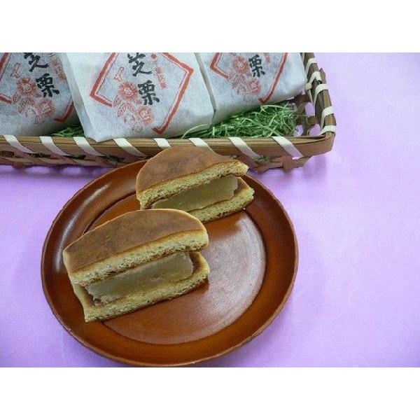 ŌI 10 퉷  yY Mtg v[g Yi Ε 