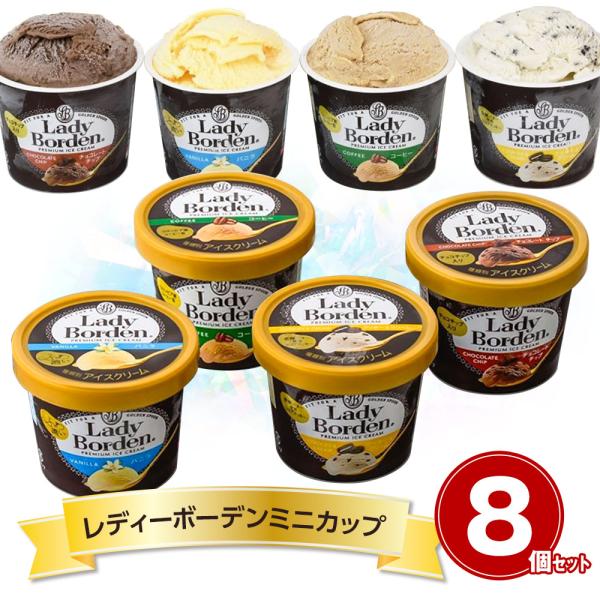レディーボーデンミニカップ8個セット R893T スイーツ アイスクリーム