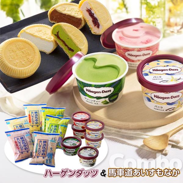 ハーゲンダッツ＆馬車道もなか計12個セット HT12 スイーツ アイス