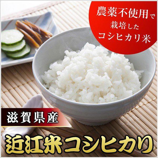 令和5年度産 新米 こしひかり 滋賀県産 近江米 コシヒカリ 10kg 無農薬