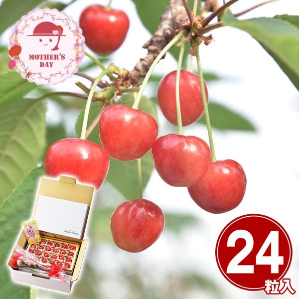 メッセージカードとカーネーションの造花をセットしました。------------ 　【おすすめ用途】※熨斗やギフト包装対応ができない場合がございます。各商品ページでご確認ください。 内祝 出産 結婚 新築 快気祝 開店 開業 結納 香典 引...