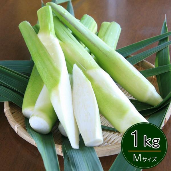 岡山県里庄産 無農薬栽培 マコモタケ（まこもたけ）生 1kg Mサイズ