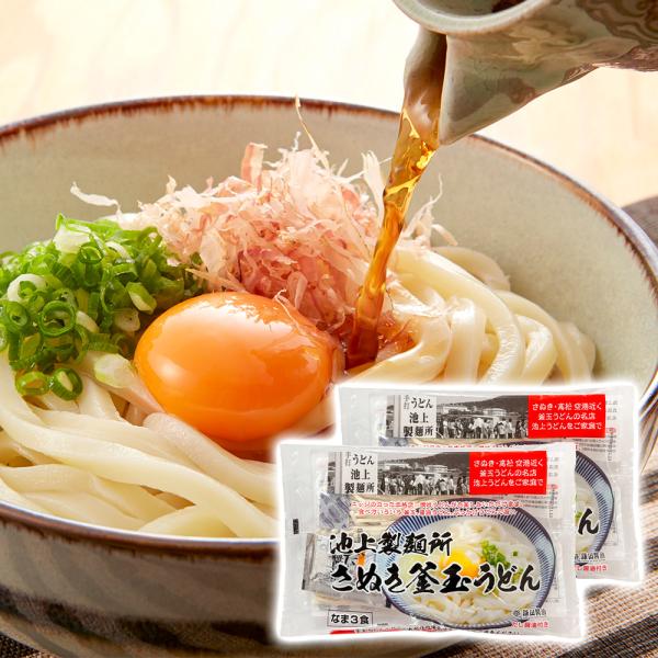 池上製麺所特製 釜玉うどん 6食【ゆうパケットでお届け】 常温 : わが
