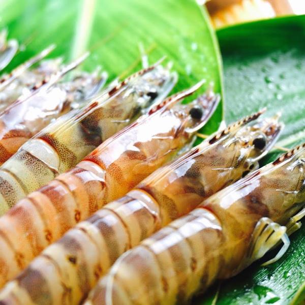 車海老 500gの人気商品 通販 価格比較 価格 Com