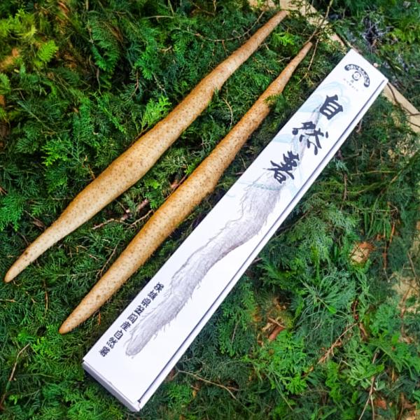 【全品送料無料】【わが街とくさんネット】日持ちしない商品の為、あらかじめご指定日の入力をお願い致します。これまでも今年のものですが、12月初旬から新物をお送りします。■規格：自然薯800g■サイズ(cm)：98×12×7■ギフト対応・ラッピ...