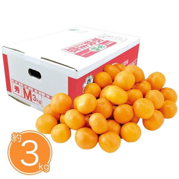 みかん 874191ed5c440f45a590d5890f8a12