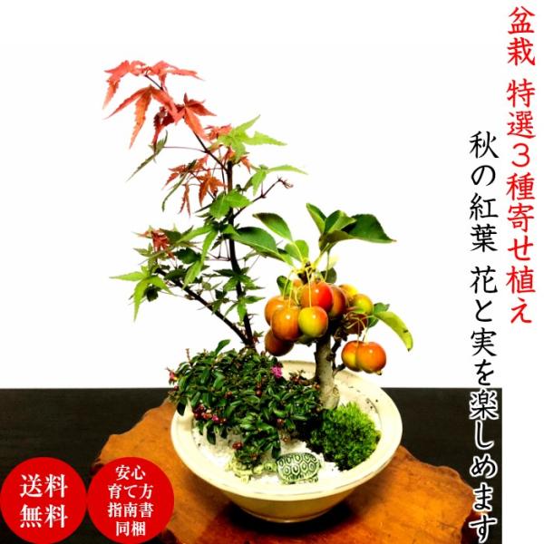 ~ ݂ ~j~ S    ~ Mtg a ~