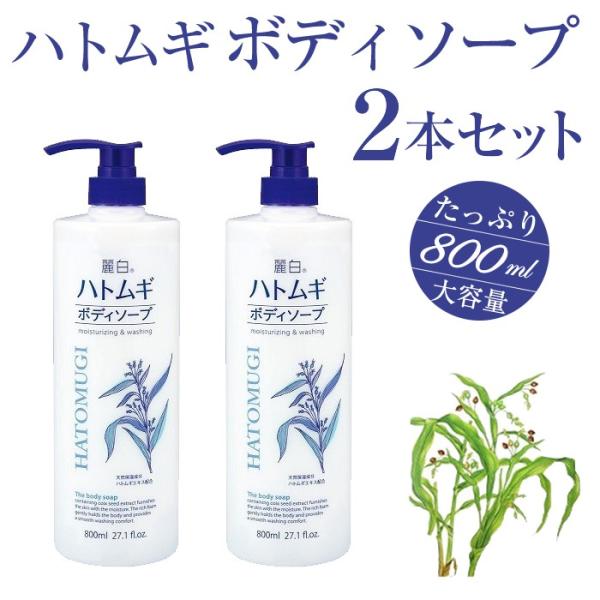 {fB\[v {fB[\[v eʃTCY 800m×2{Zbg 픒 ngM{fB\[v Ղe ͂Ƃނ { BHM-BO-31 