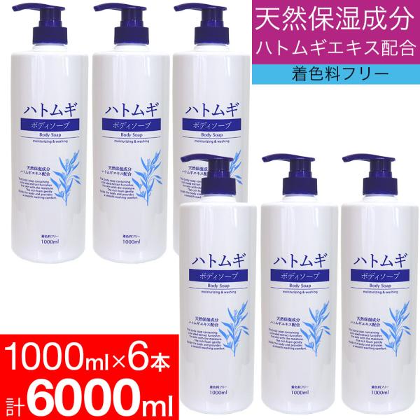 {fB\[v ngM ێ VRێ 1000mL 6{Zbg